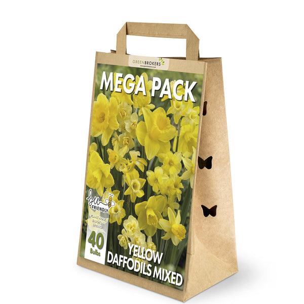Mixed Yellow Daffodil Mega Pack – 40 Mixed Premium Dutch Bulbs - B1090