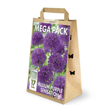 Purple Sensation Allium Mega Pack – 17 Dutch Bulbs - B1092