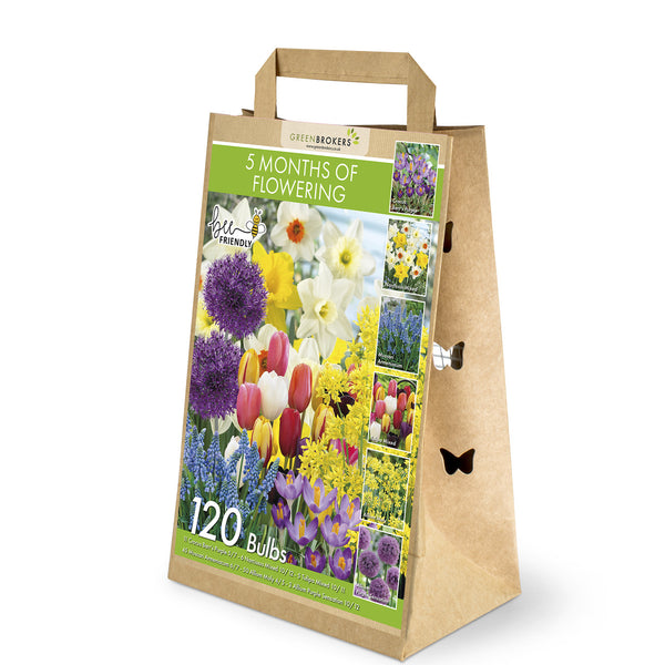5 Month Flowering Bulb Mix – 120 Dutch Bulbs for Spring - B1123