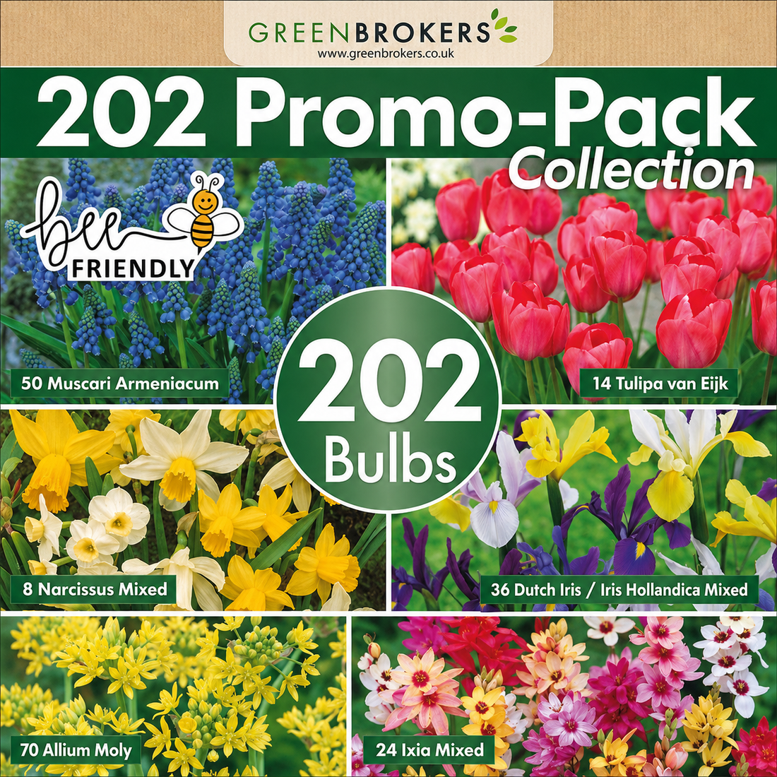202 Spring Bulb Promo-Pack Collection Mix - B1154