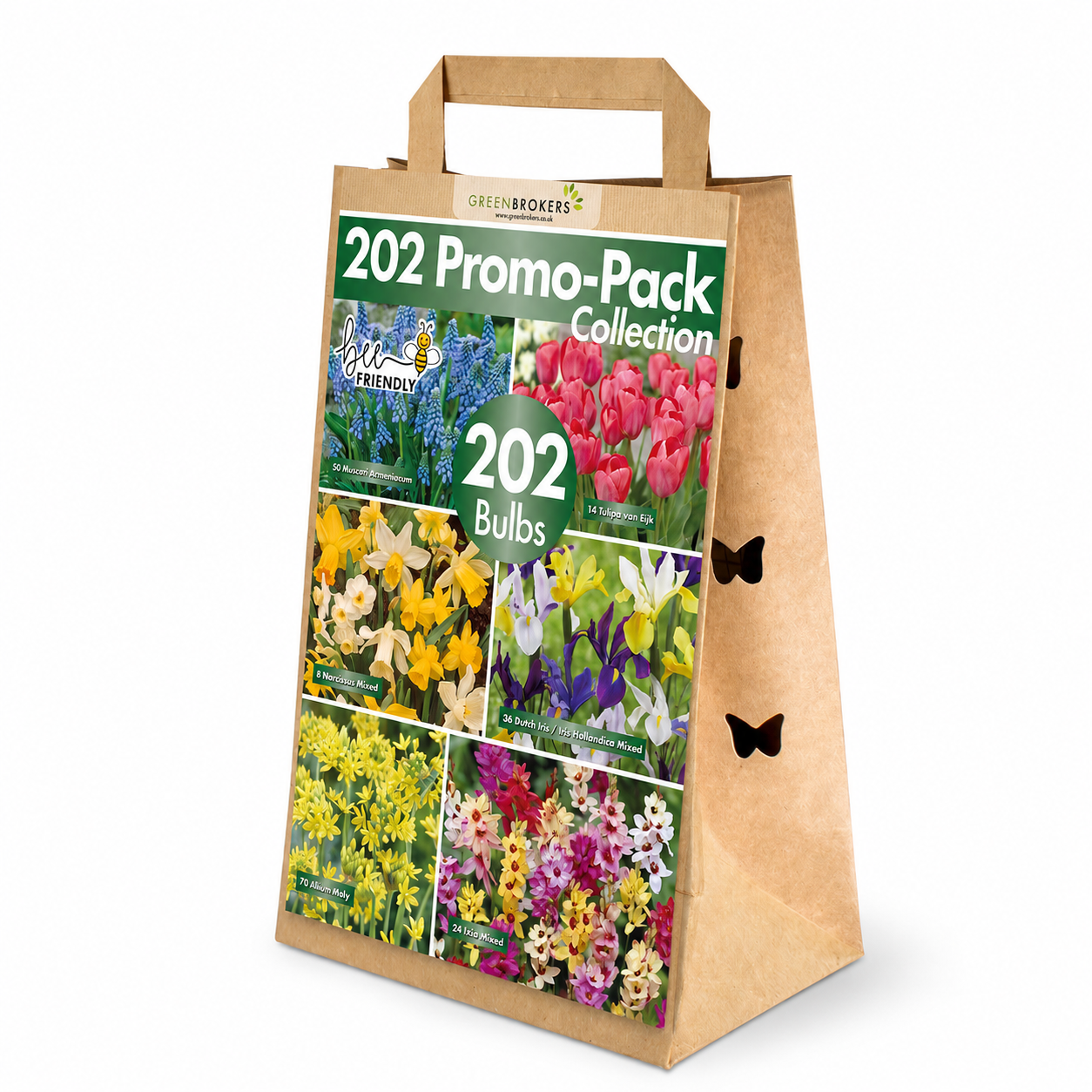 202 Spring Bulb Promo-Pack Collection Mix - B1154