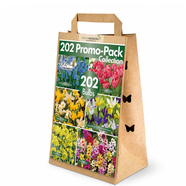202 Spring Bulb Promo-Pack Collection Mix - B1154
