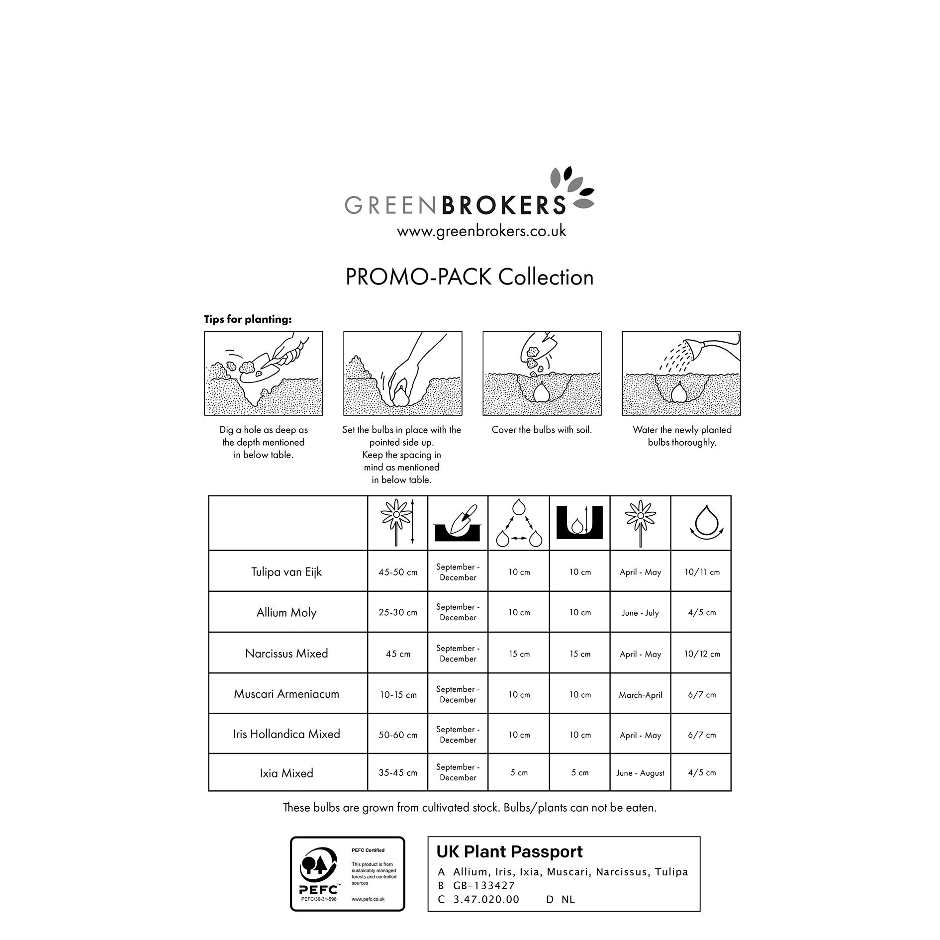 303 Spring Bulb Promo-Pack Collection Mix - B1165