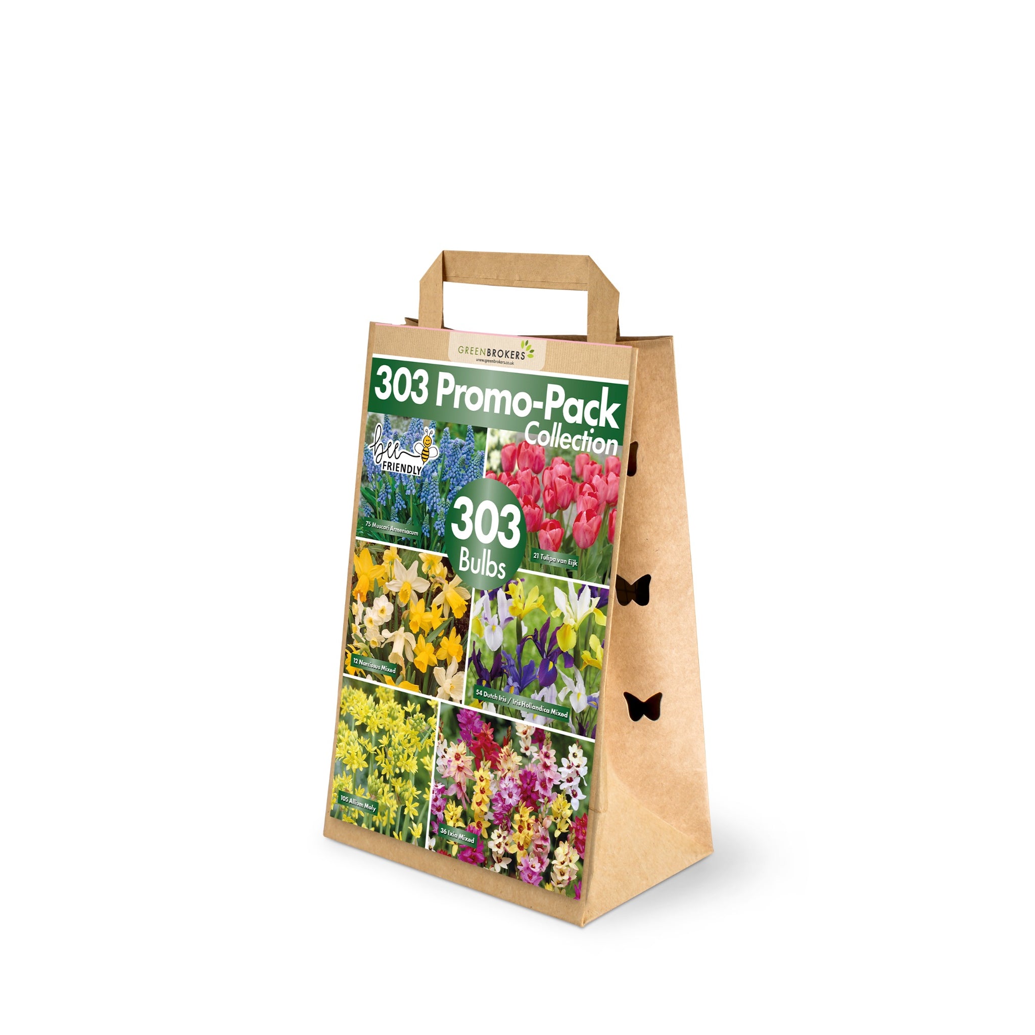 303 Spring Bulb Promo-Pack Collection Mix - B1165