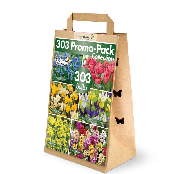 303 Spring Bulb Promo-Pack Collection Mix - B1165