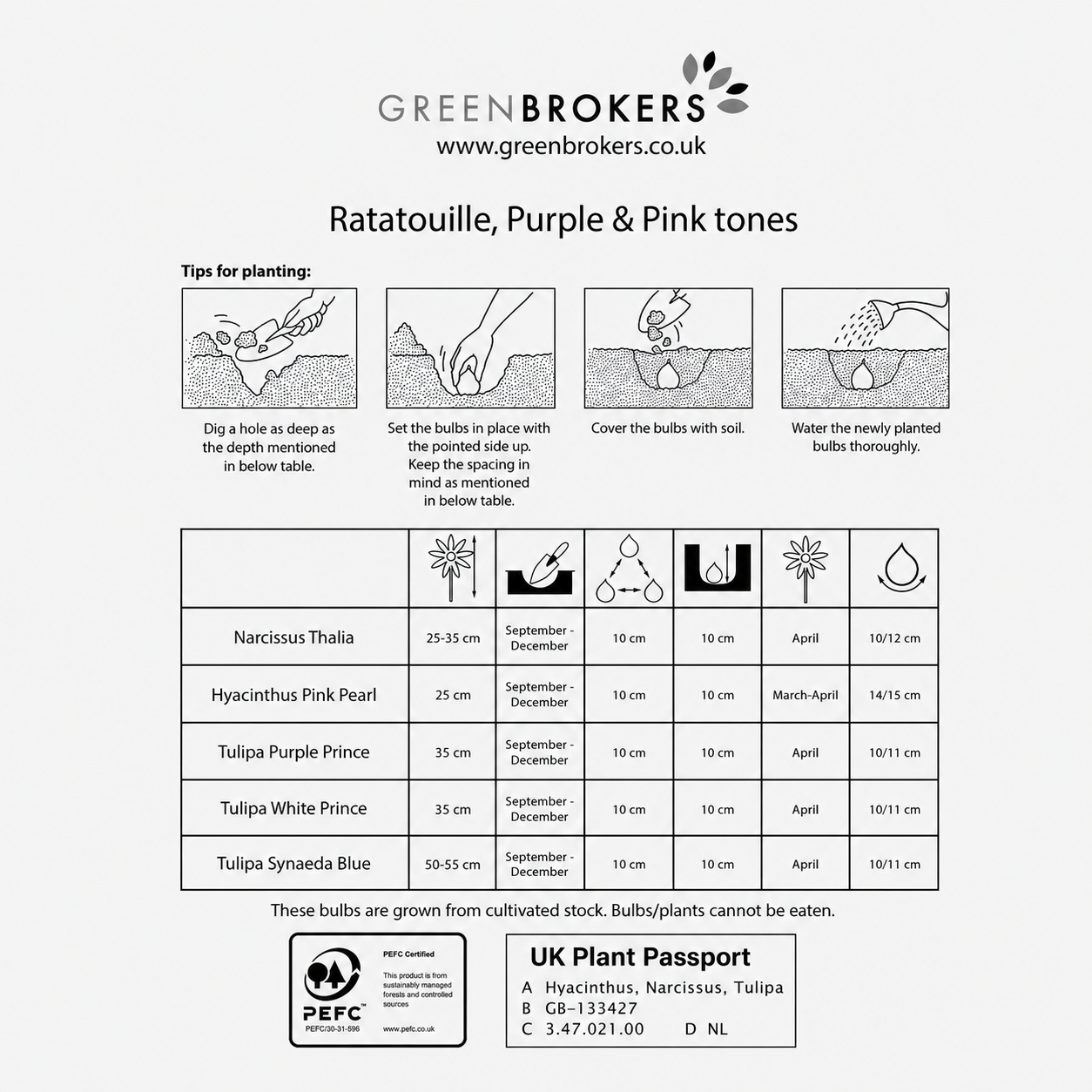 Ratatouille Purple & Pink Tones Bulb Mix – 30 Dutch Bulbs - B1166