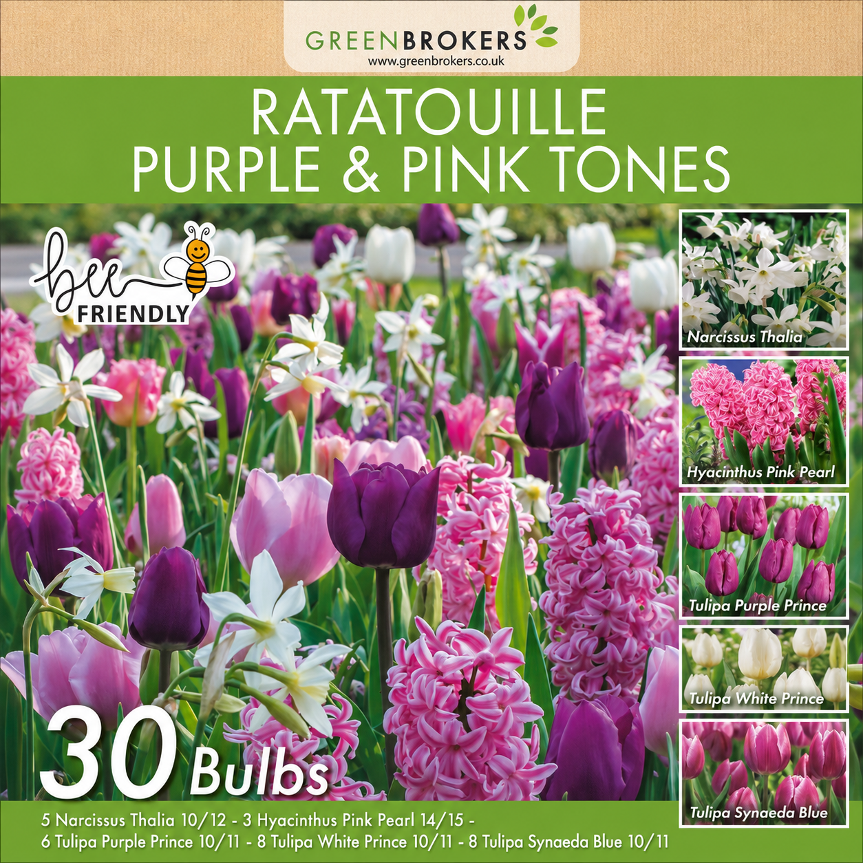 Ratatouille Purple & Pink Tones Bulb Mix – 30 Dutch Bulbs - B1166