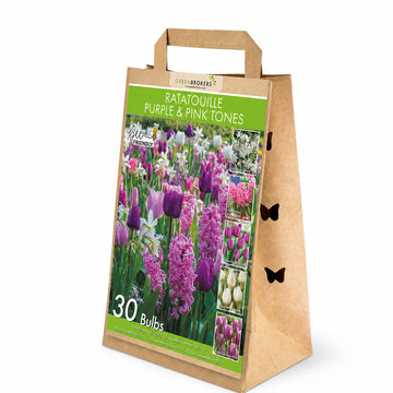 Ratatouille Purple & Pink Tones Bulb Mix – 30 Dutch Bulbs - B1166