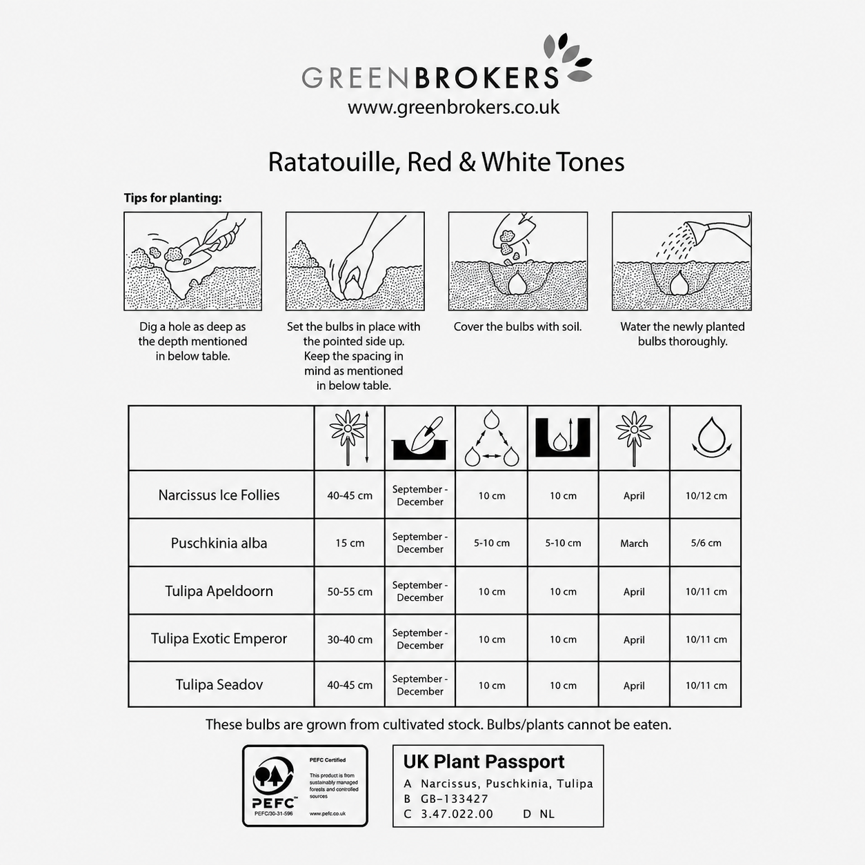 Ratatouille Red & White Tones Bulb Mix – 30 Dutch Bulbs B1167