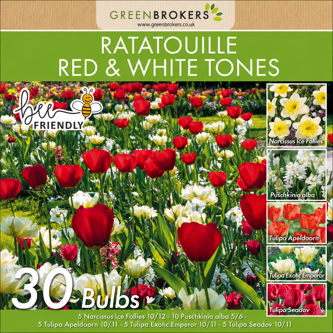 Ratatouille Red & White Tones Bulb Mix – 30 Dutch Bulbs B1167