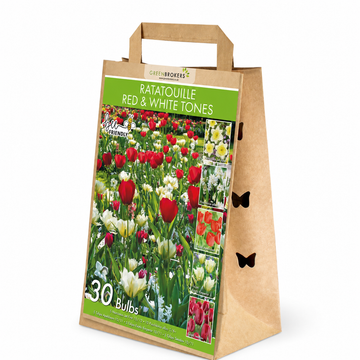 Ratatouille Red & White Tones Bulb Mix – 30 Dutch Bulbs B1167
