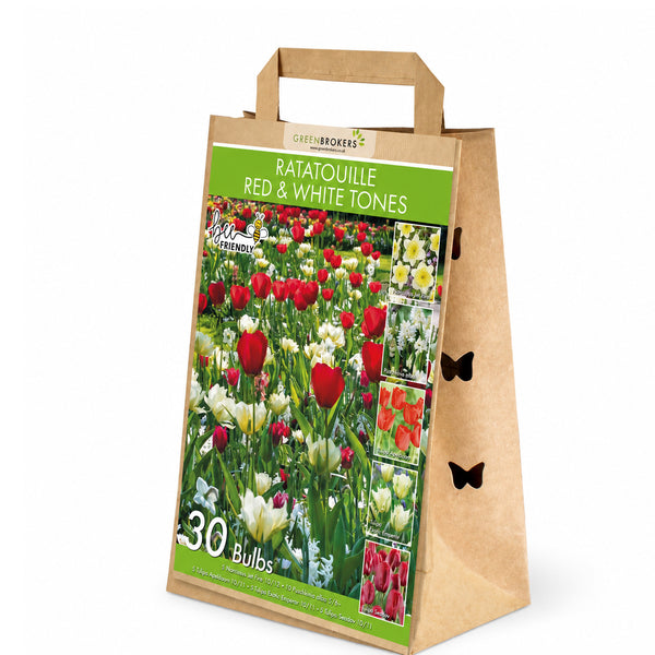 Ratatouille Red & White Tones Bulb Mix – 30 Dutch Bulbs B1167