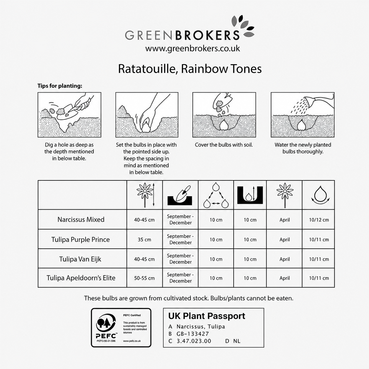 Ratatouille Rainbow Bulb Mix – 30 Dutch Bulbs - B1168