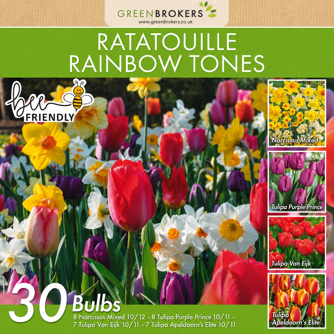 Ratatouille Rainbow Bulb Mix – 30 Dutch Bulbs - B1168