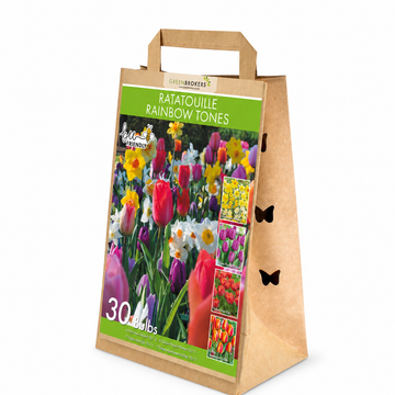 Ratatouille Rainbow Bulb Mix – 30 Dutch Bulbs - B1168
