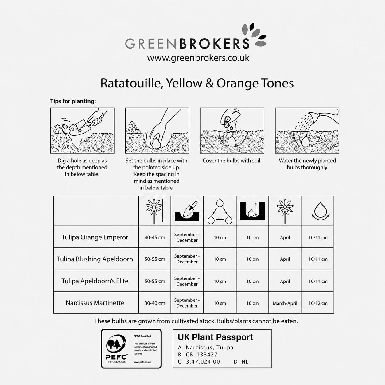 Ratatouille Yellow & Orange Bulb Mix – 30 Dutch Bulbs - B1169