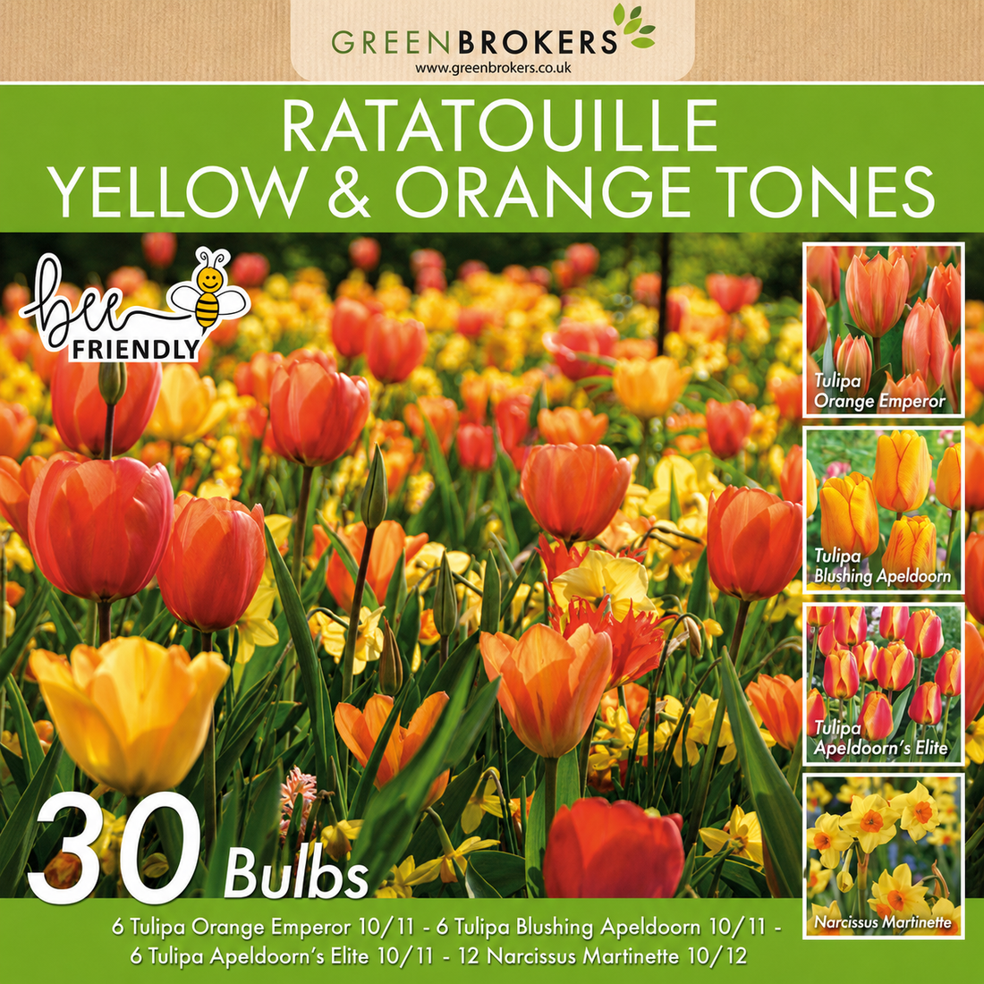 Ratatouille Yellow & Orange Bulb Mix – 30 Dutch Bulbs - B1169