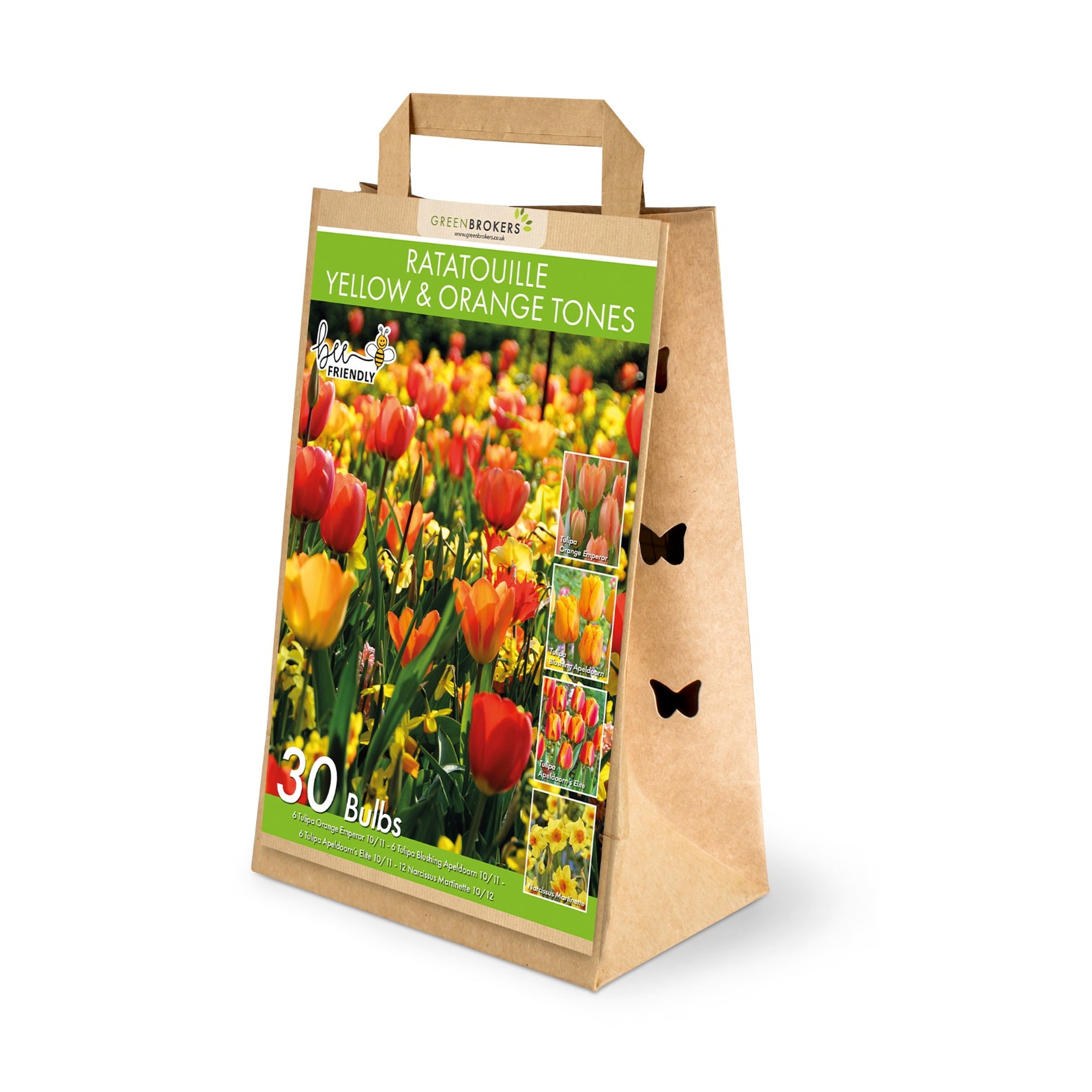 Ratatouille Yellow & Orange Bulb Mix – 30 Dutch Bulbs - B1169