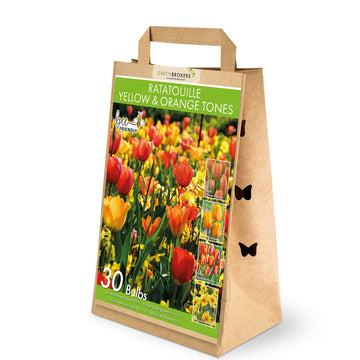 Ratatouille Yellow & Orange Bulb Mix – 30 Dutch Bulbs - B1169
