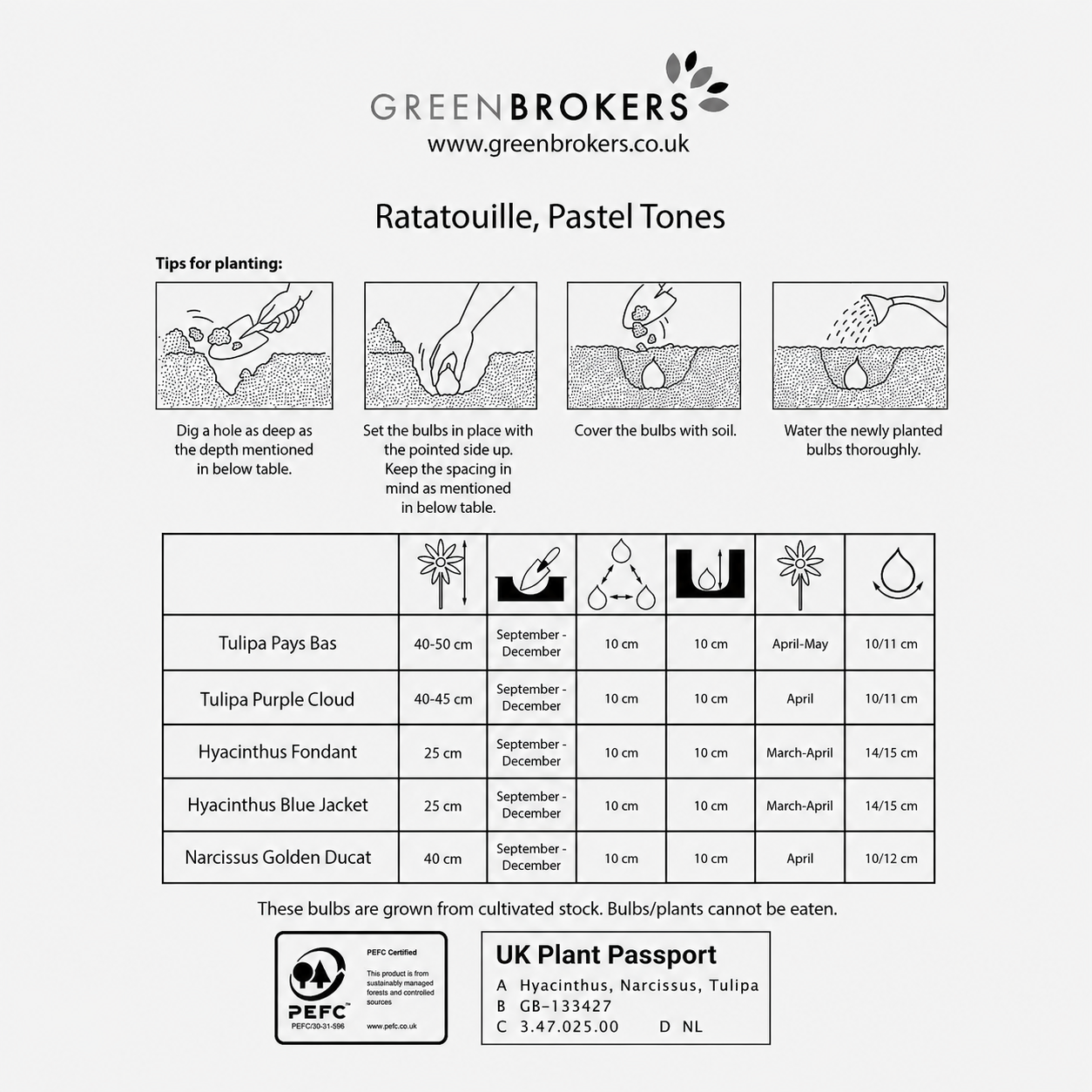 Ratatouille Pastel Bulb Mix – 24 Dutch Bulbs - B1173