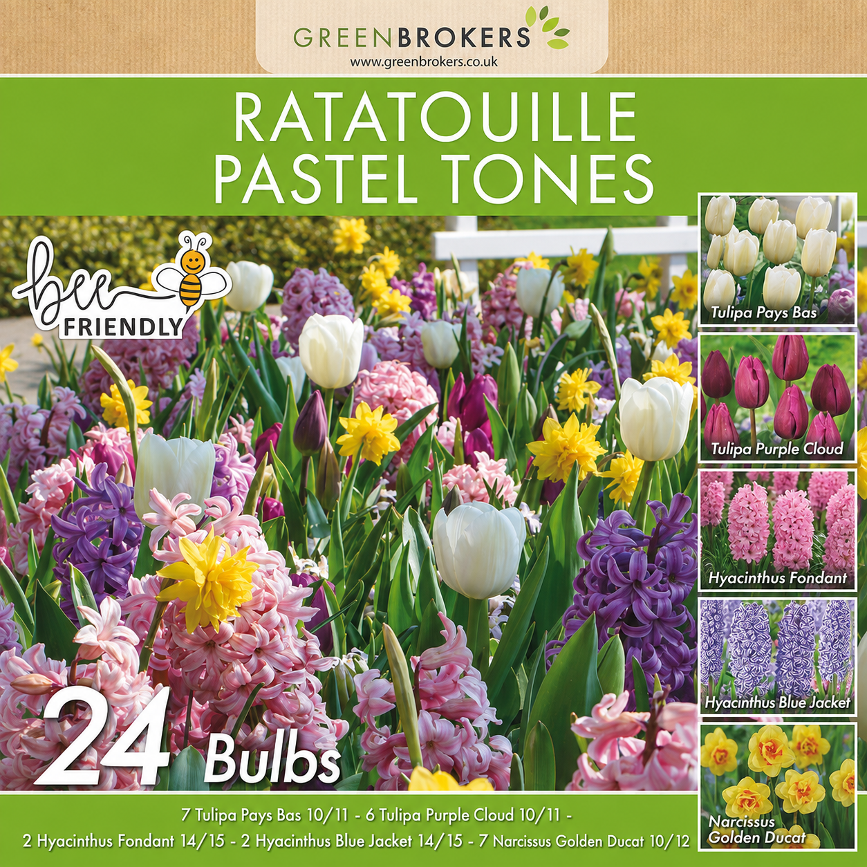 Ratatouille Pastel Bulb Mix – 24 Dutch Bulbs - B1173