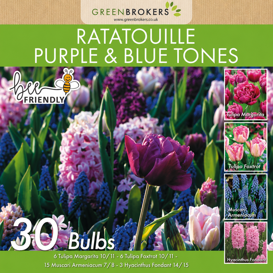 Ratatouille Purple & Blue Tones Bulb Mix – 30 Dutch Bulbs - B1174