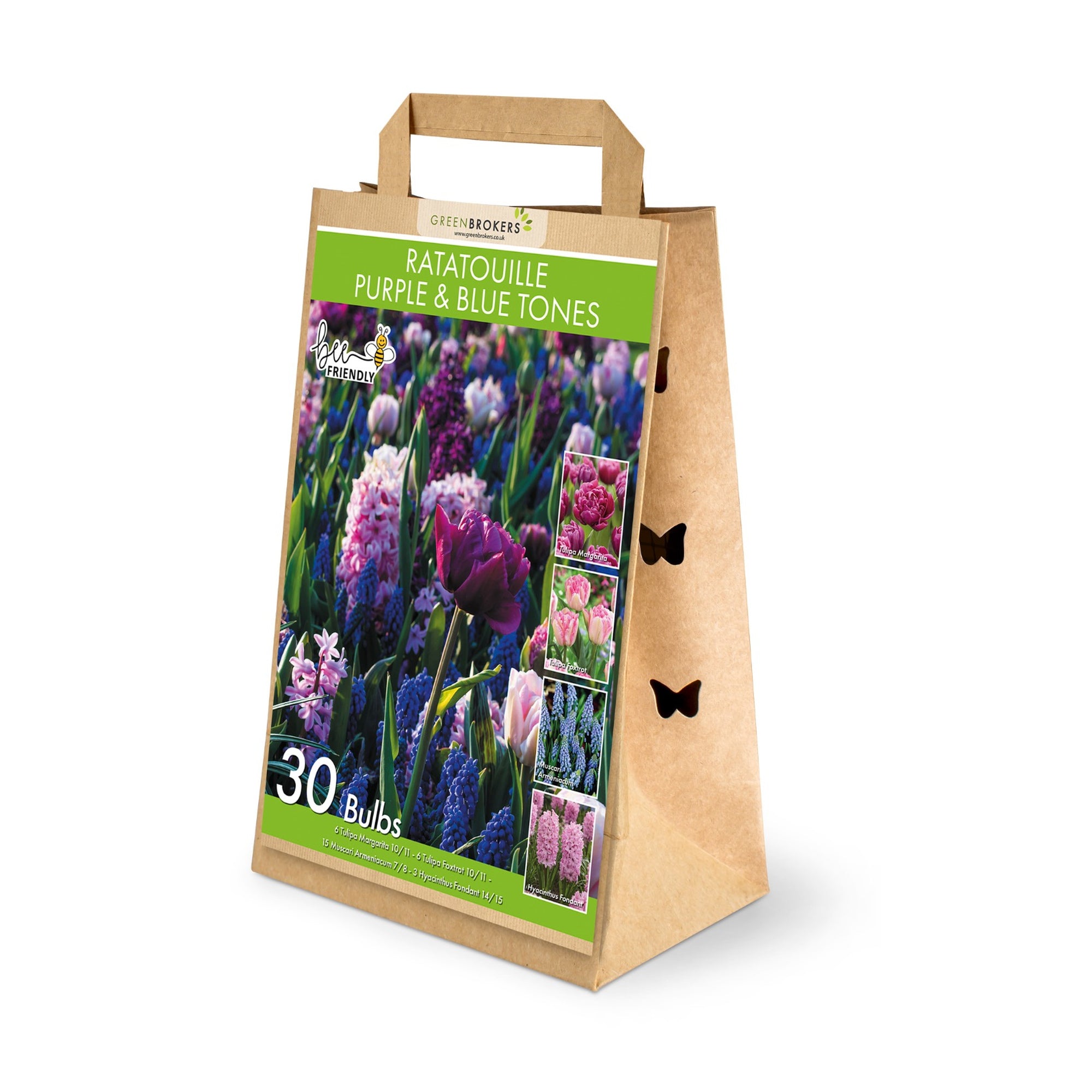 Ratatouille Purple & Blue Tones Bulb Mix – 30 Dutch Bulbs - B1174