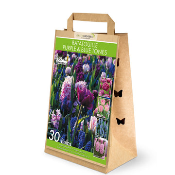 Ratatouille Purple & Blue Tones Bulb Mix – 30 Dutch Bulbs - B1174