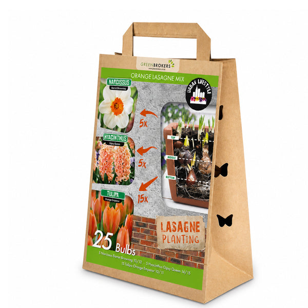 Orange Lasagne Bulb Mix – 25 Spring Bulbs, Bee-Friendly - B1175