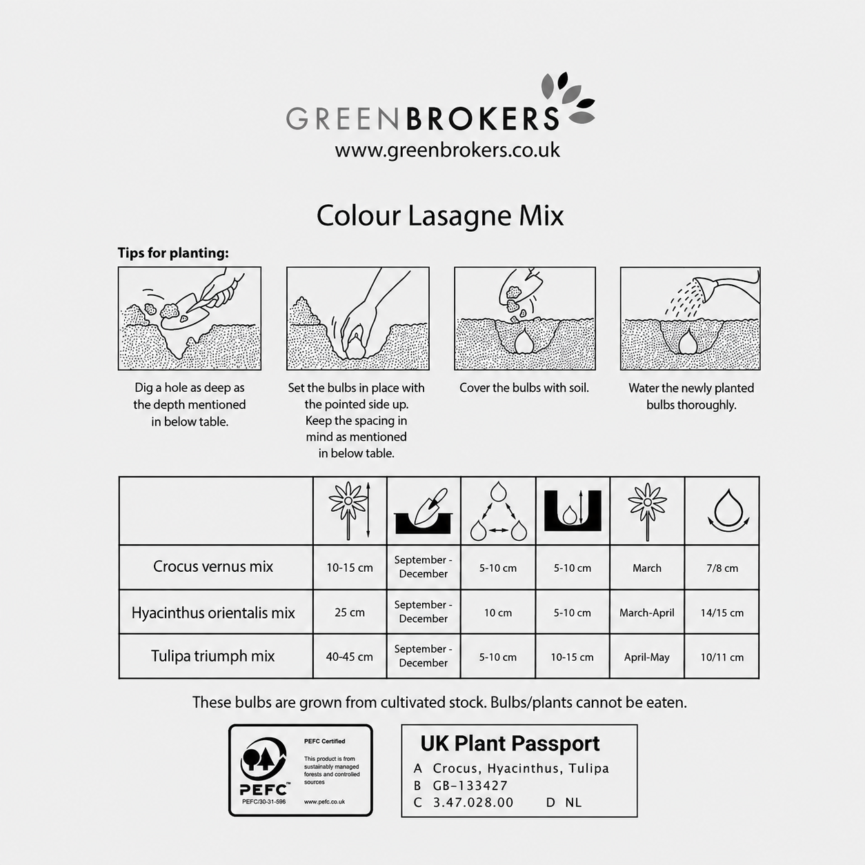 Colour Lasagne Mix Bulbs - 30 Dutch Bulbs - B1176