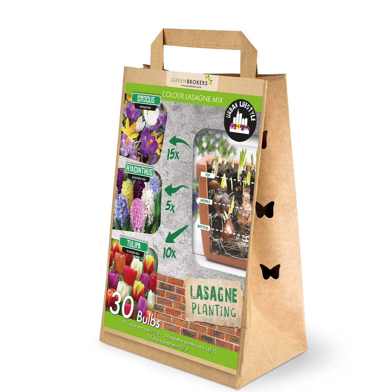 Colour Lasagne Mix Bulbs - 30 Dutch Bulbs - B1176