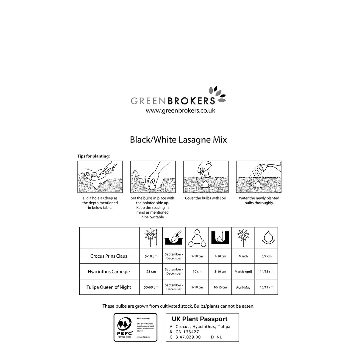Black/White Lasagne Mix – 30 Spring Bulbs - B1177
