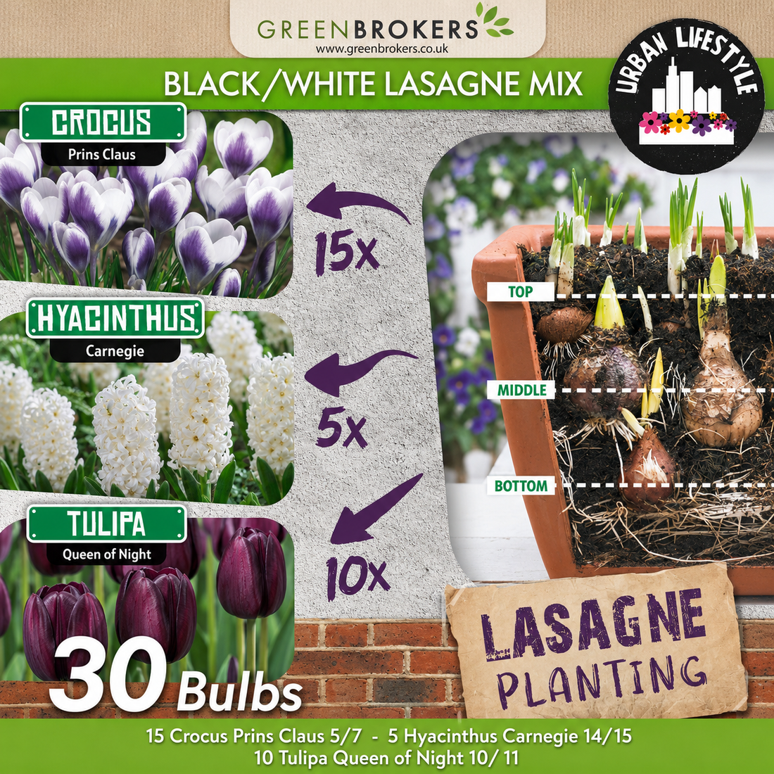 Black/White Lasagne Mix – 30 Spring Bulbs - B1177