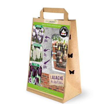 Black/White Lasagne Mix – 30 Spring Bulbs - B1177