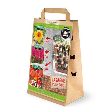 Red Lasagne Mix – 25 Spring Bulbs - B1178