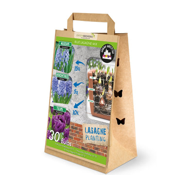 Blue Lasagne Mix – 30 Spring Flower Bulbs - B1200