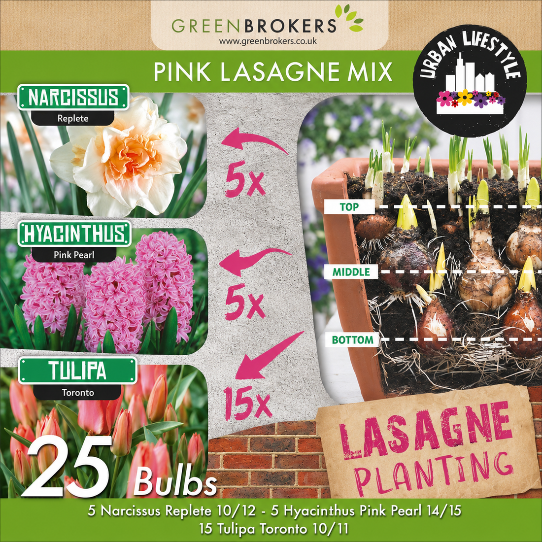Pink Lasagne Mix – 25 Spring Flower Bulbs - B1201