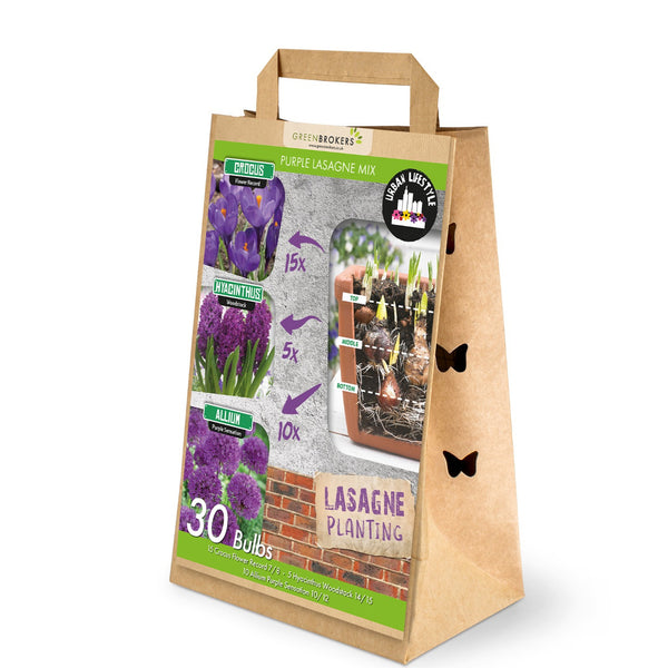 Purple Lasagne Bulb Mix – 30 Spring Bulbs, Bee-Friendly B1202