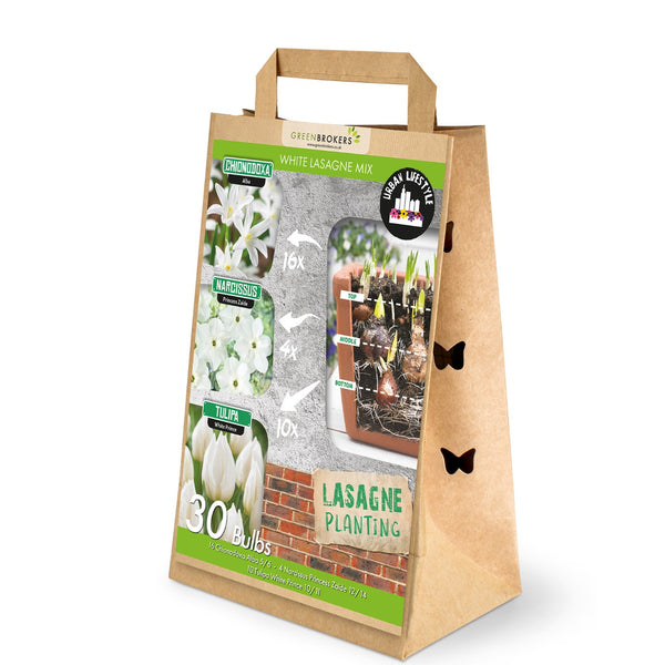 White Lasagne Bulb Mix – 30 Spring Bulbs - B1203