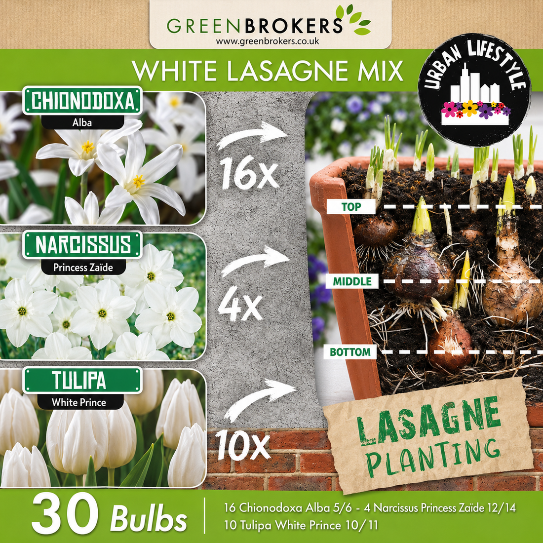 White Lasagne Bulb Mix – 30 Spring Bulbs - B1203