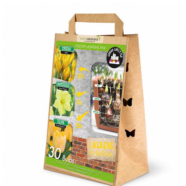 Yellow Lasagne Bulb Mix – 30 Spring Bulbs - B1204