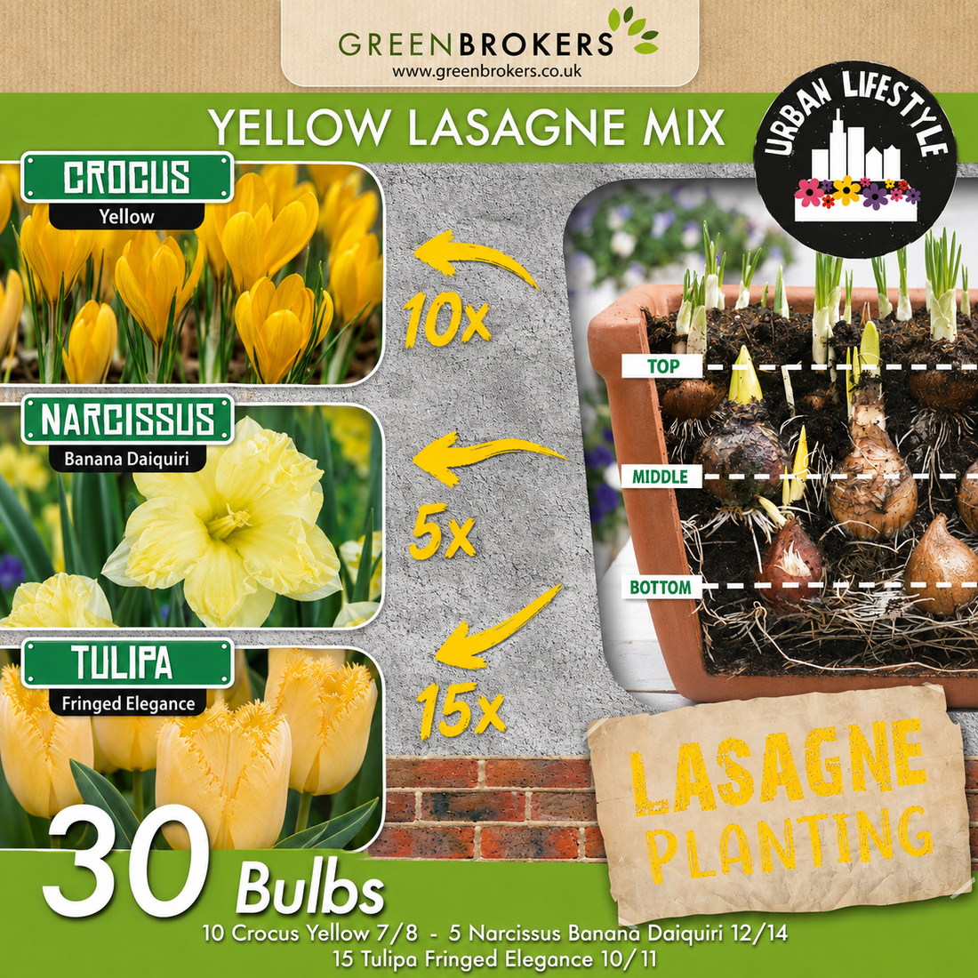 Yellow Lasagne Bulb Mix – 30 Spring Bulbs - B1204