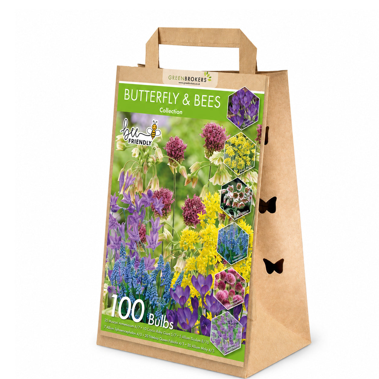 Butterfly & Bee Bulb Collection Mix – 100 Dutch Spring Bulbs B1211