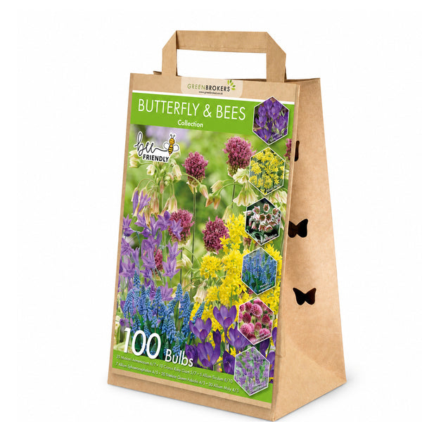 Butterfly & Bee Bulb Collection Mix – 100 Dutch Spring Bulbs B1211