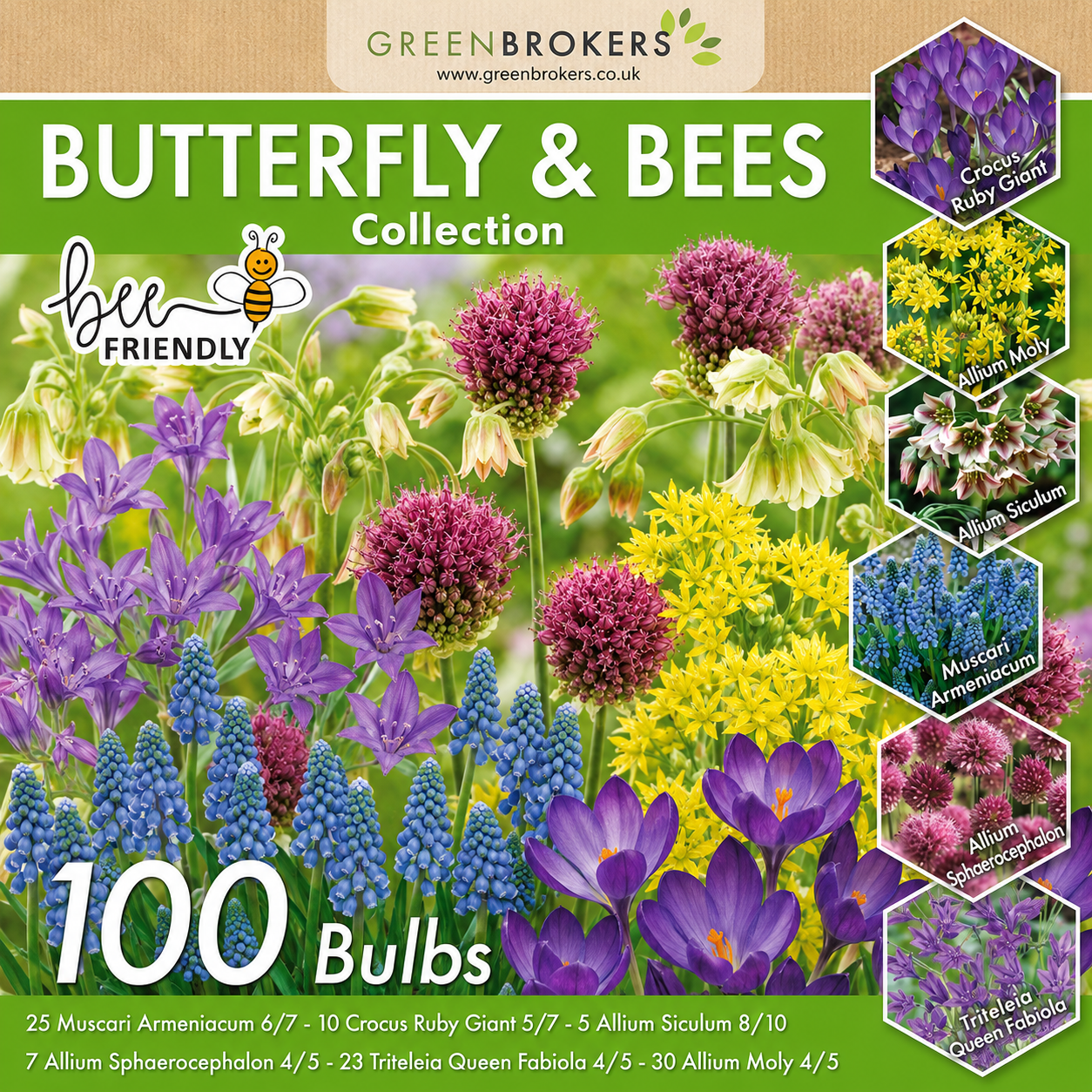 Butterfly & Bee Bulb Collection Mix – 100 Dutch Spring Bulbs B1211