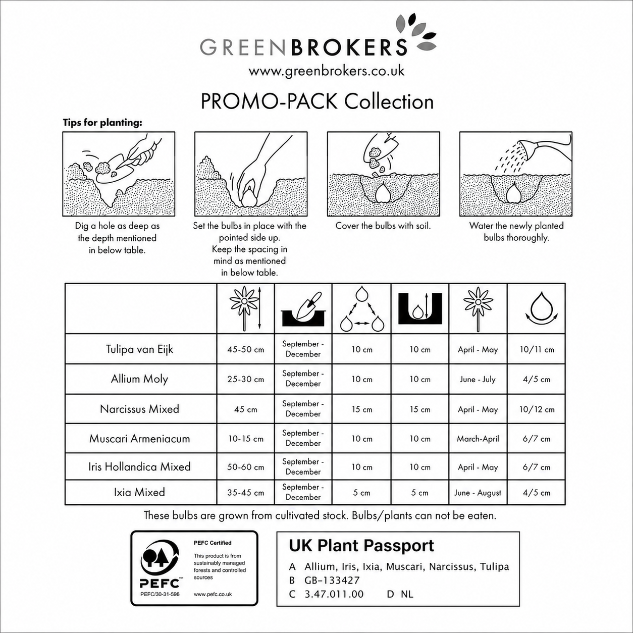 101 Spring Bulb Promo-Pack Collection Collection Mix  - B1212