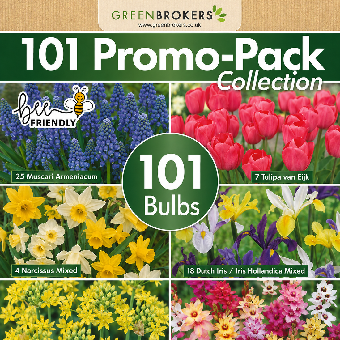 101 Spring Bulb Promo-Pack Collection Collection Mix  - B1212