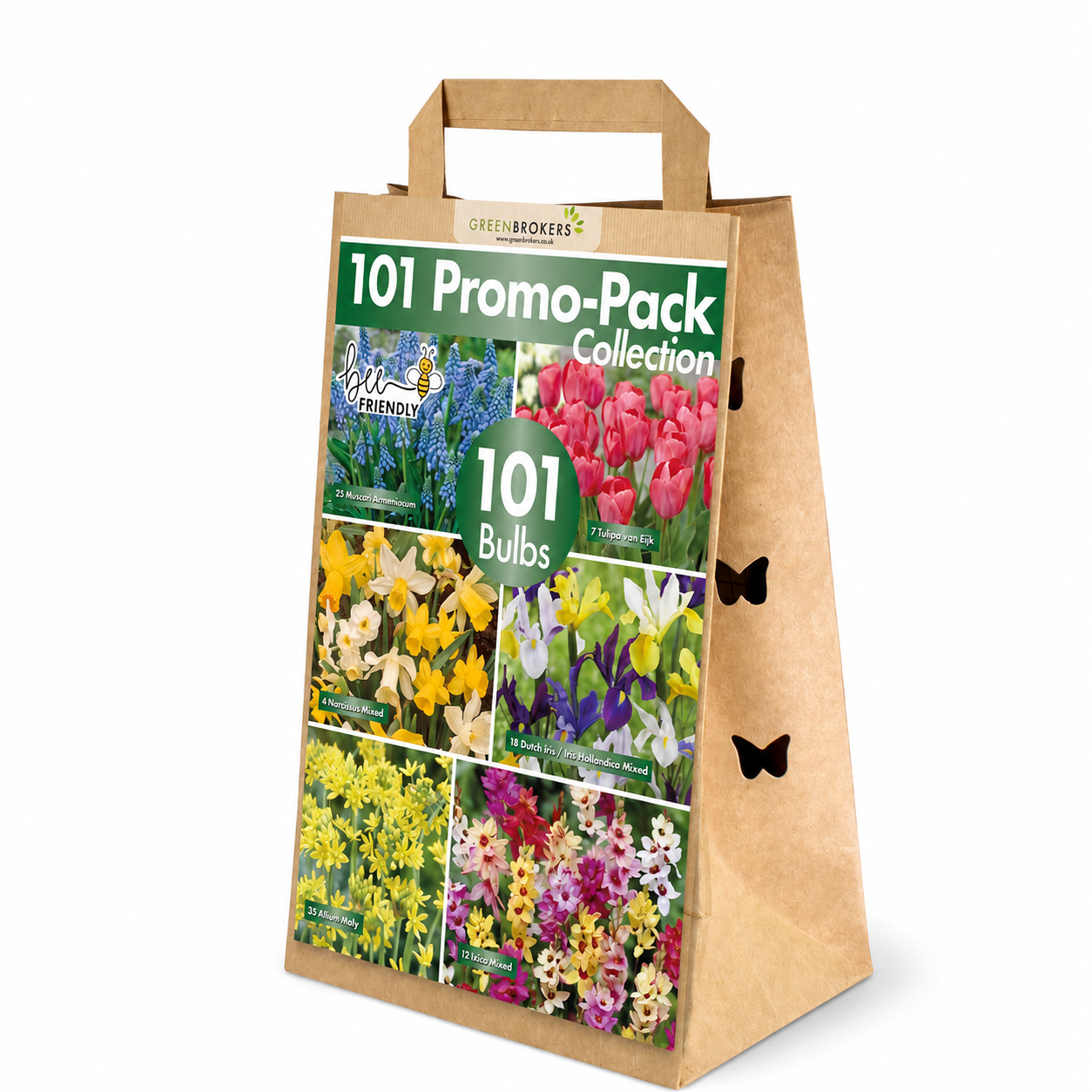 101 Spring Bulb Promo-Pack Collection Collection Mix  - B1212