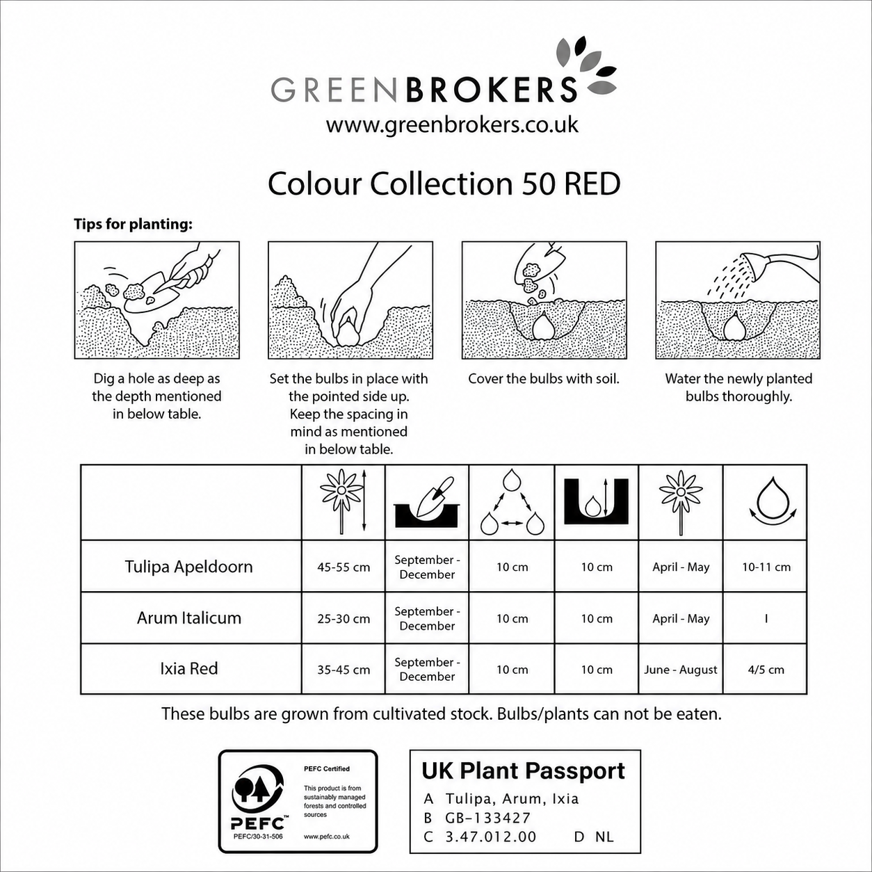 Red Colour Collection – 50 Dutch Bulbs - B1213