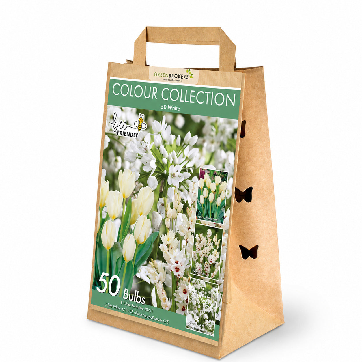 White Colour Collection – 50 Dutch Bulbs - B1214